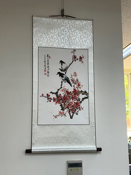 照片4