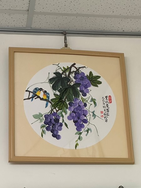 照片5