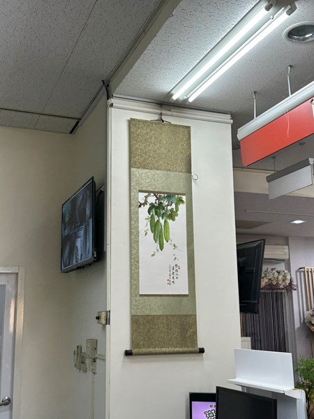 照片7