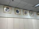 照片8