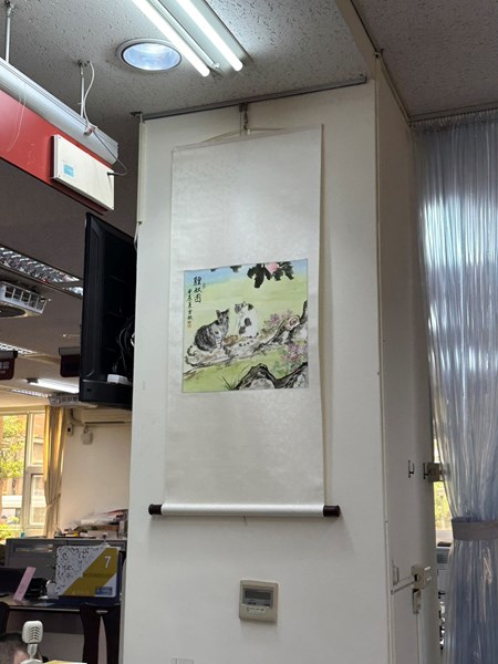 照片9