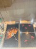 照片6