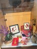照片9
