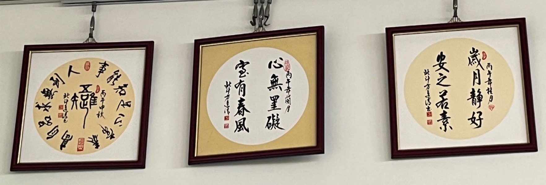 照片3