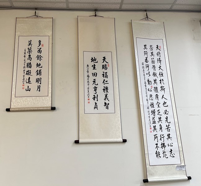 照片4